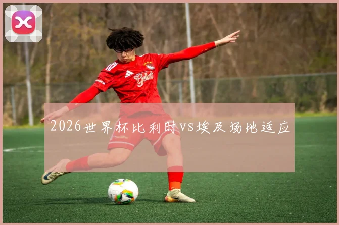 2026世界杯比利时vs埃及场地适应