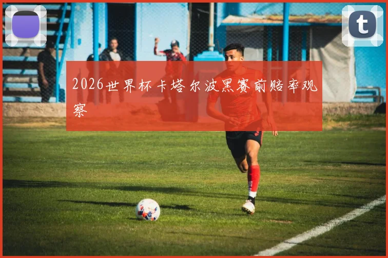 2026世界杯卡塔尔波黑赛前赔率观察