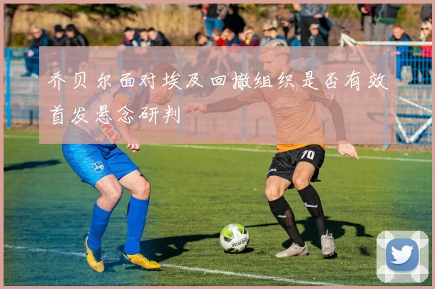 乔贝尔面对埃及回撤组织是否有效首发悬念研判