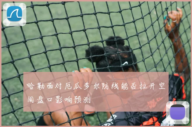 哈勒面对厄瓜多尔防线能否拉开空间盘口影响预测