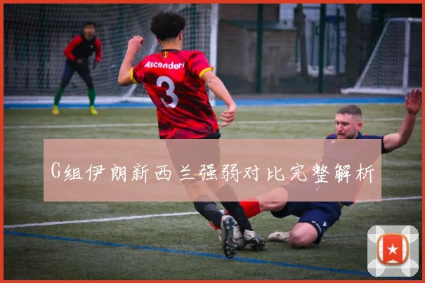 G组伊朗新西兰强弱对比完整解析