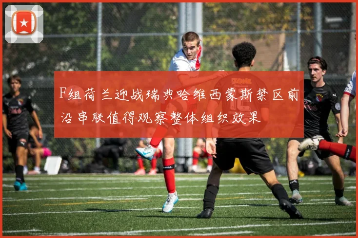 F组荷兰迎战瑞典哈维西蒙斯禁区前沿串联值得观察整体组织效果